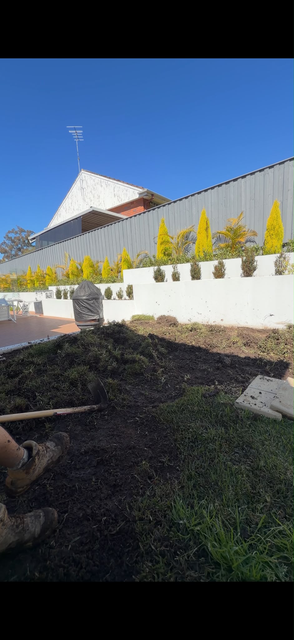 Garden Design & Installation — before